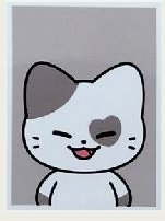 二巡 周邊卡 證件照 TWINZY證件照