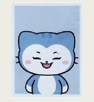 二巡 周邊卡 證件照組 TWINZY證件照