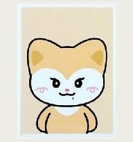 二巡 周邊卡 證件照組 TWINZY證件照