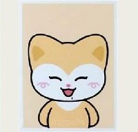 二巡 周邊卡 證件照組 TWINZY證件照