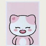 二巡 周邊卡 證件照組 TWINZY證件照