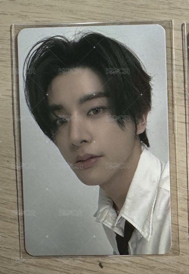 澳洲牛奶小狗