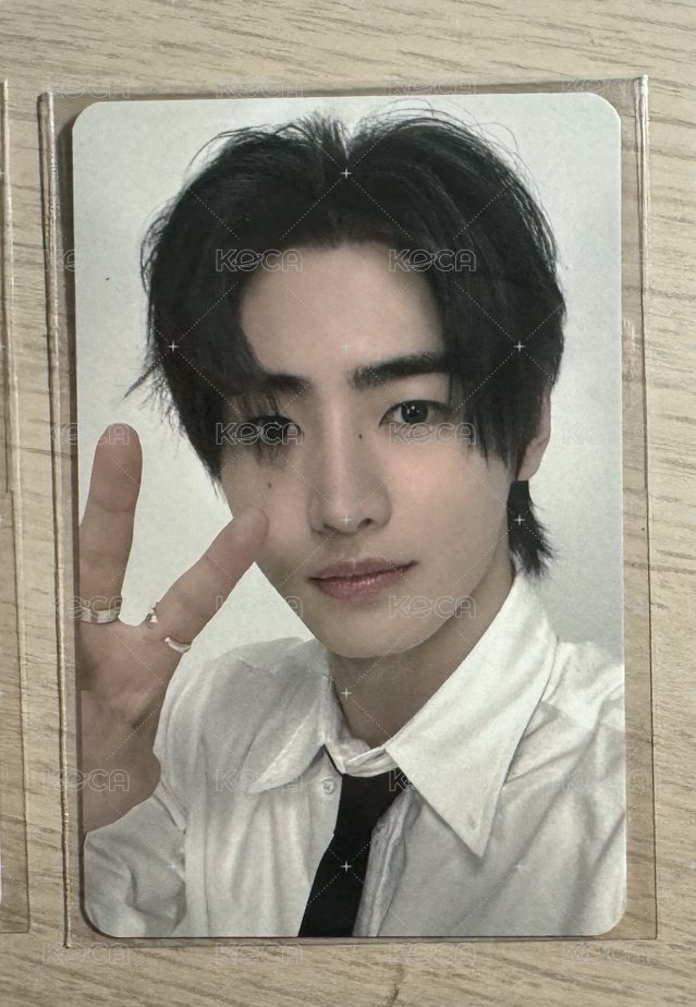 小白狗比YA