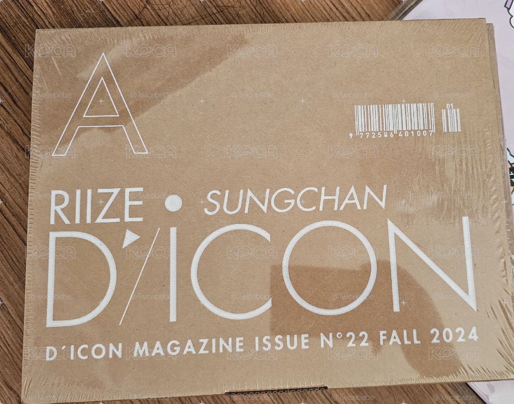 成燦Dicon雜誌