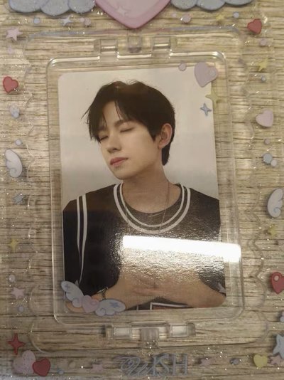 steady 愛神💘yushi 立牌組 卡背更萌