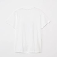 獅薩與拉麵鎧甲