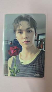 vernon 