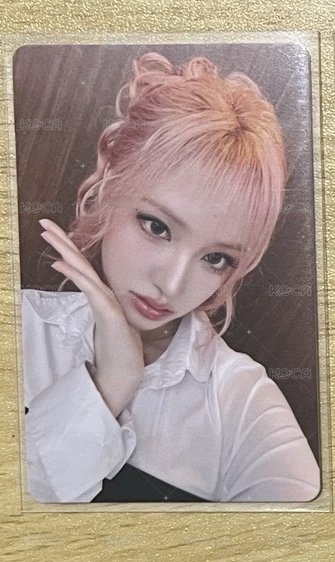 栗 HMV