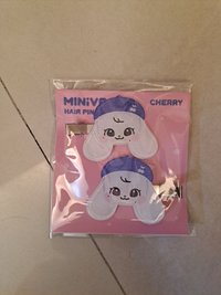 員髮夾（多帶專輯）