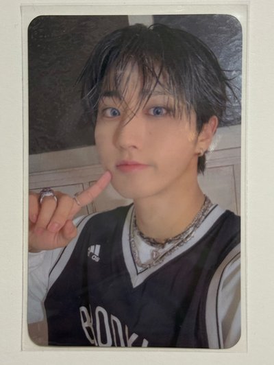Stray Kids SKZOO 特典卡