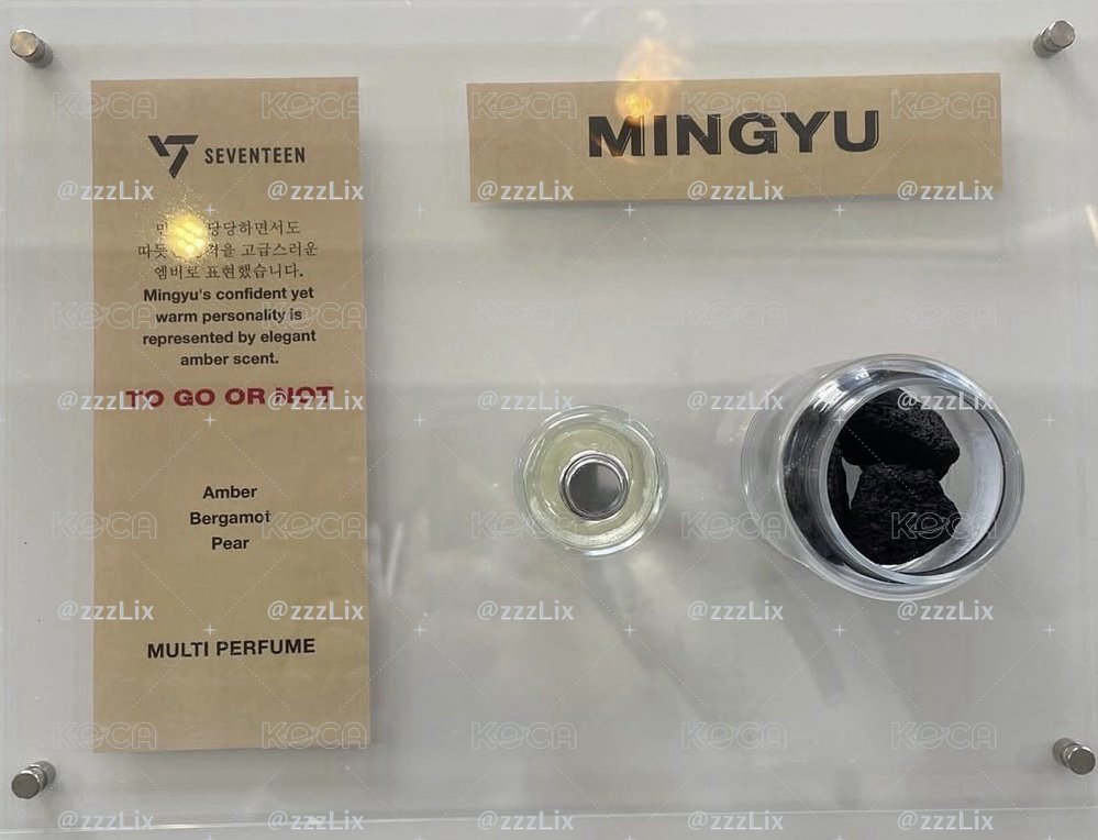 SEVENTEEN Mingyu款 17street 周邊