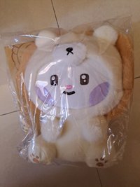 韓維辰大娃（多帶）