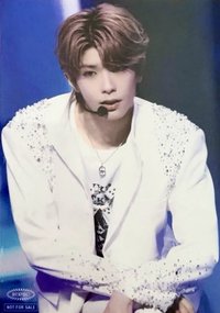 2025 日巡武道館藍光 hmv 生寫真 