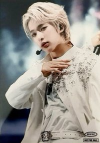 2025 日巡武道館藍光 hmv 生寫真 