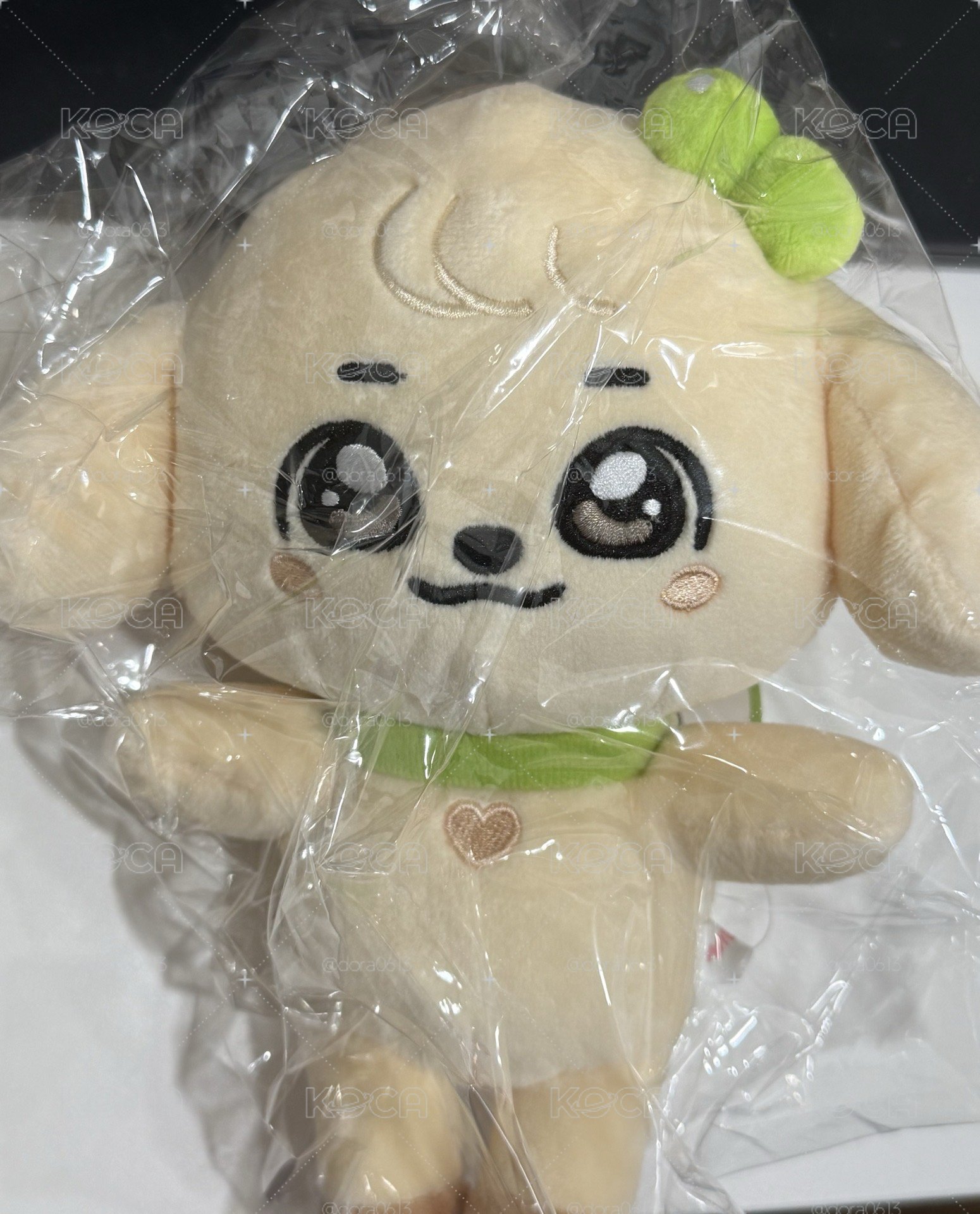 安 20cm娃
