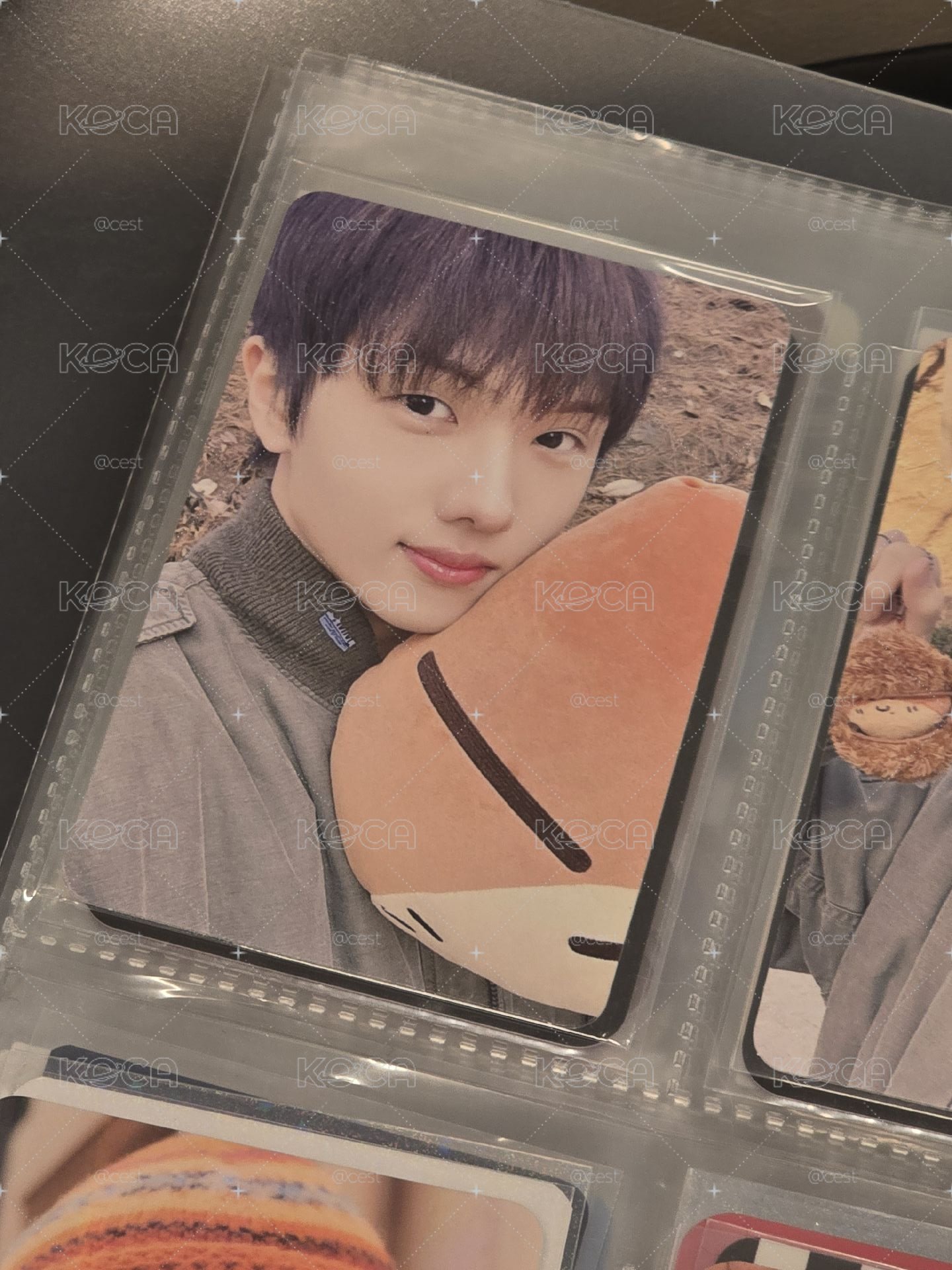 JISUNG 朴志晟 生日周邊