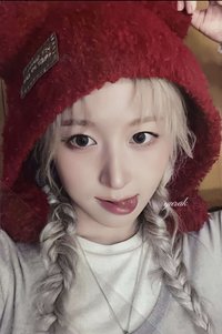 正規一 ms 台北 25.0 1:1 特別活動 簽售卡 祝福的熊熊 ver.