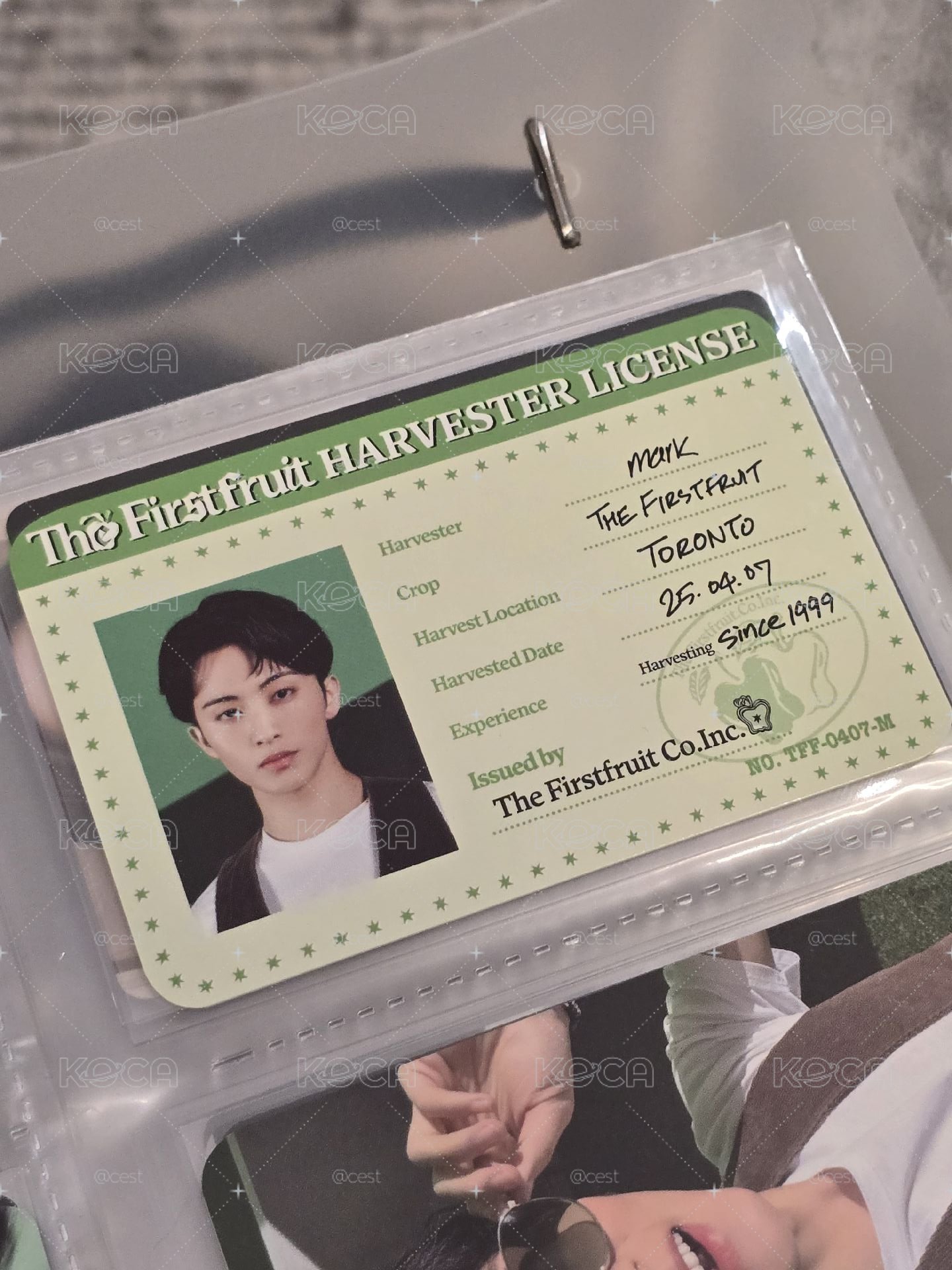 MARK LEE 李馬克THE FIRSTFRUIT