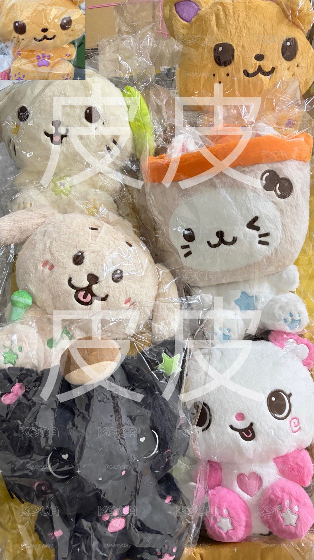RIKUWISH Bakery娃娃玩偶】預購NCT WISH bakery快閃30公分坐娃- KOCA小