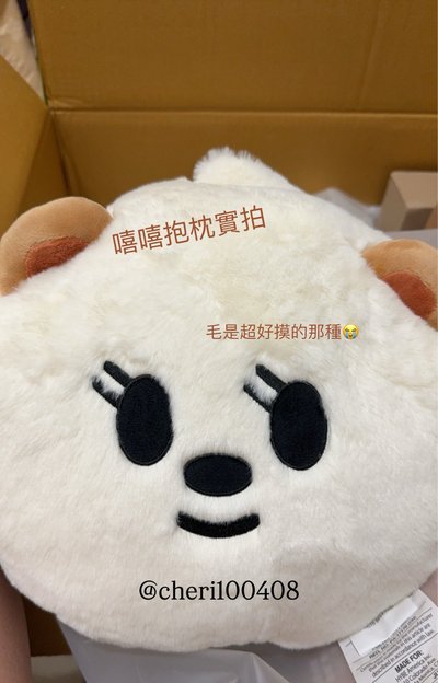 [代購]TXT 角巴兔 抱枕 預購 非現