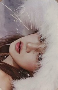 正規二快閃 小卡set 白版 周邊卡 