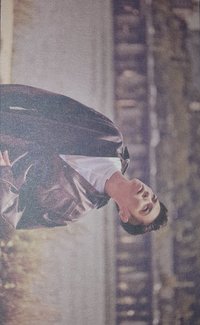 正規三 專輯卡 