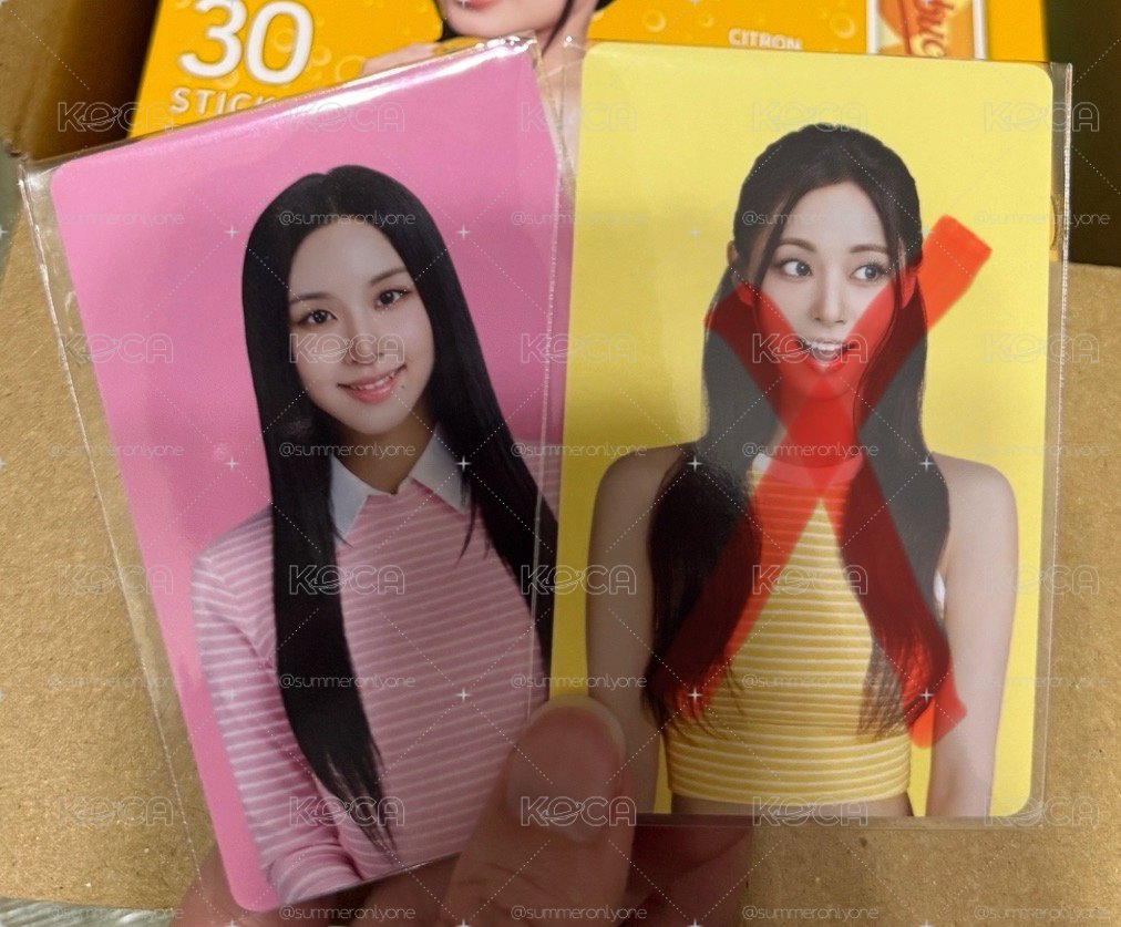 康普茶小卡 彩瑛