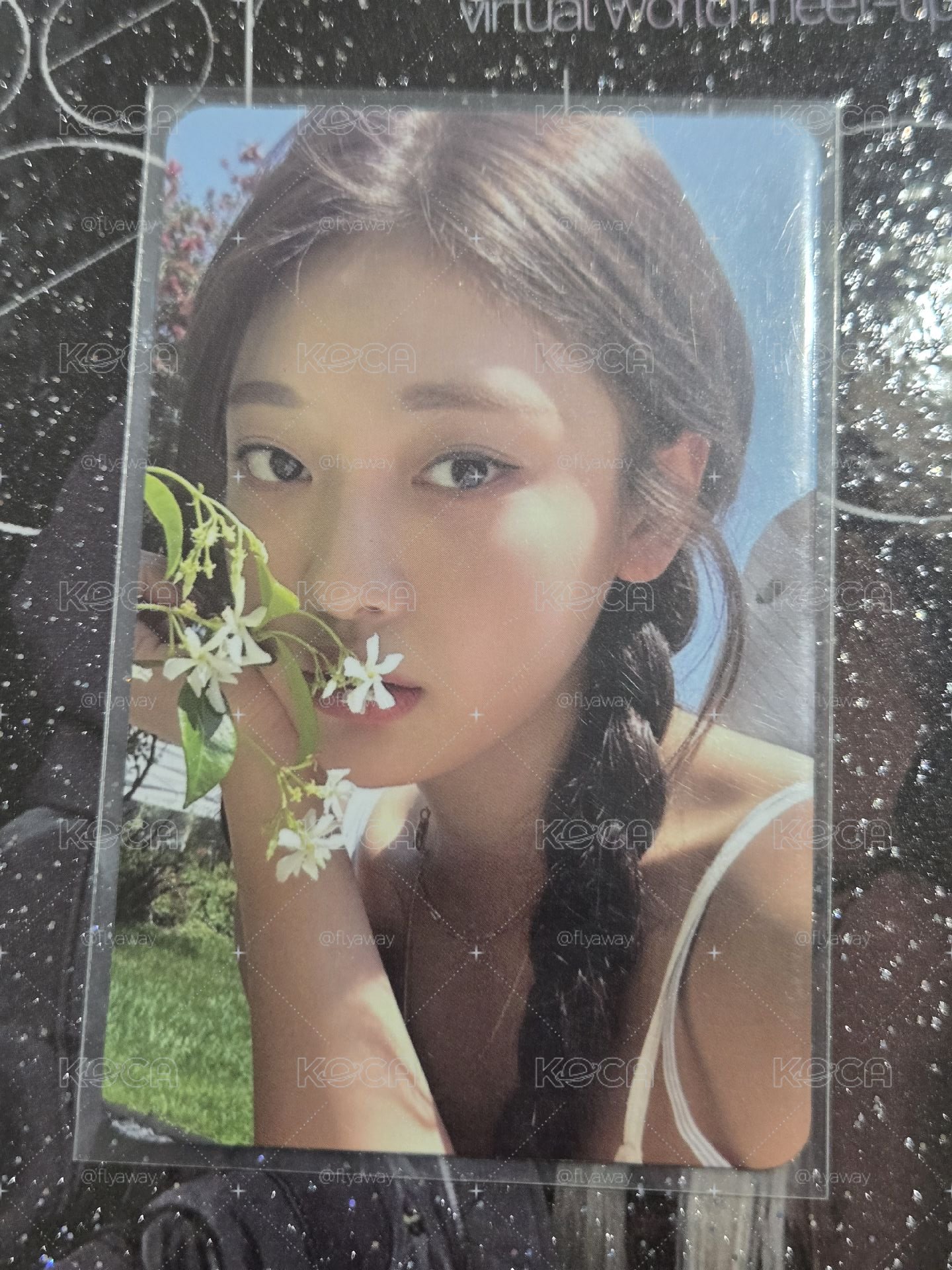 小花寧