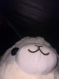 Plumbumm
