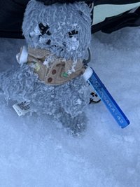 金金豆豆昏昏呵呵呵