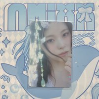 ➡️圭
