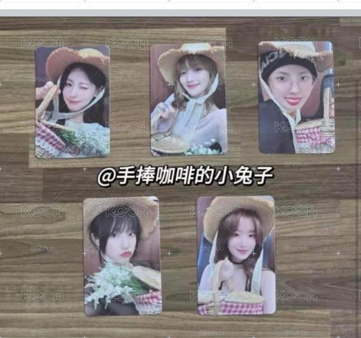 Ms貓抓刷妮