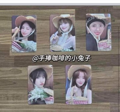 Ms貓抓刷妮