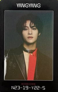 2020大隊 Pt.2 專輯卡 acc