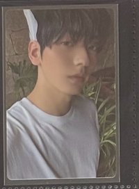 羽毛彬（標價為一張