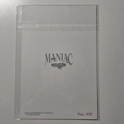 Stray Kids 二巡 MANIAC 官方周邊 人生四格卡🐥Felix 菲菲