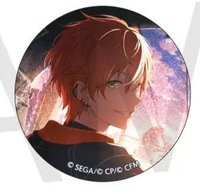 vol.36c細閃 徽章 