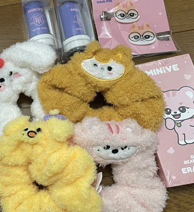 IVE Welcome To MINIVE School