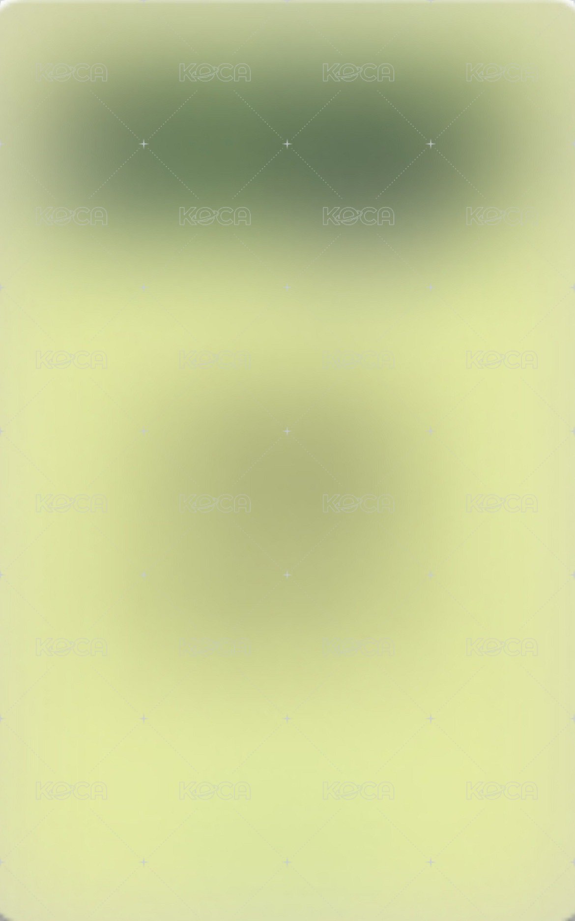 迷二 ms 1.0 幸運卡 繁體中文卡背 背面