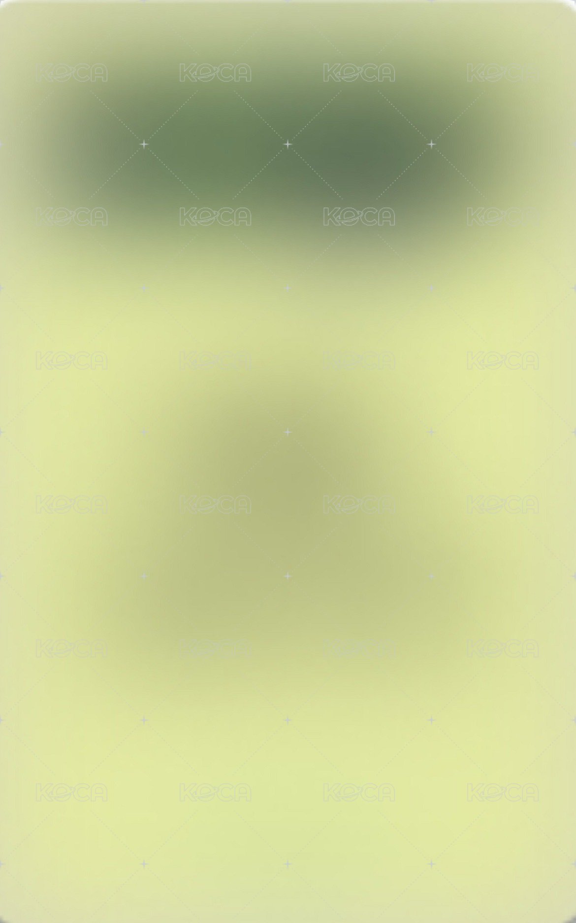 迷二 ms 1.0 幸運卡 繁體中文卡背 背面