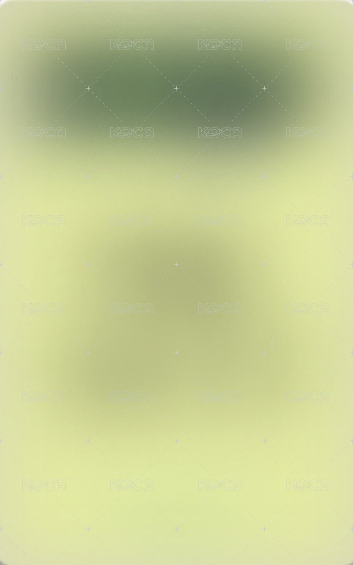 迷二 ms 1.0 幸運卡 繁體中文卡背 背面