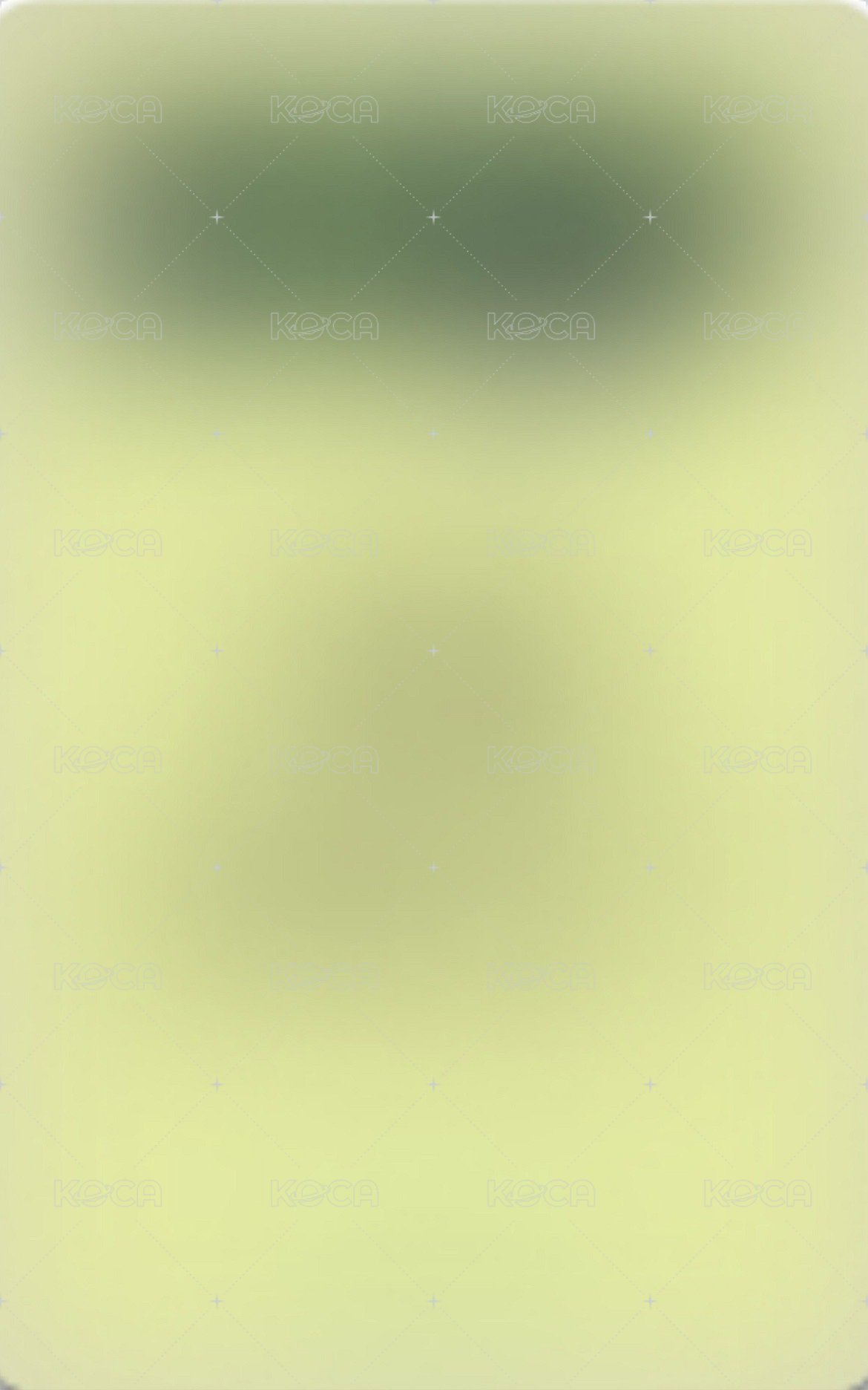 迷二 ms 1.0 幸運卡 繁體中文卡背 背面