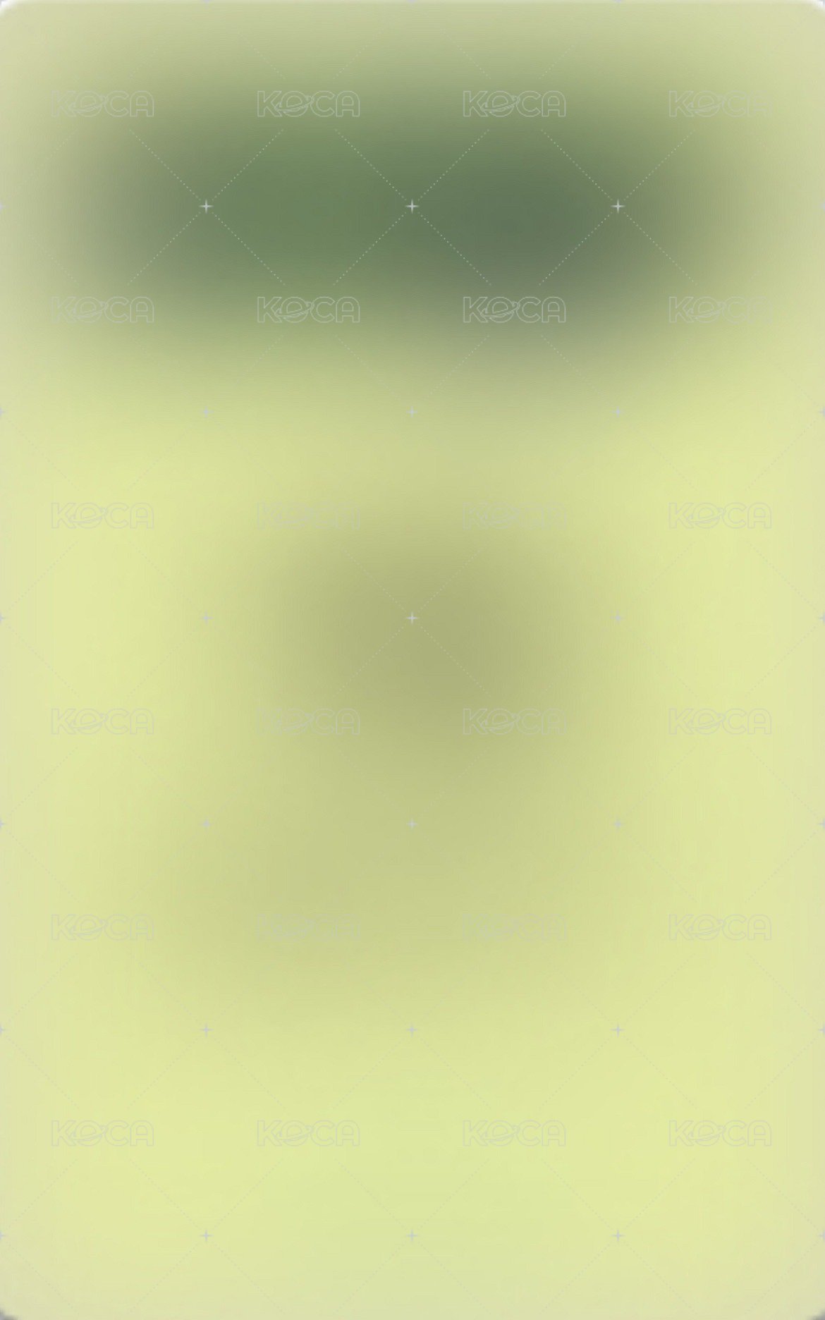 迷二 ms 1.0 幸運卡 繁體中文卡背 背面