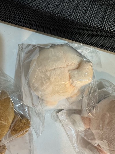 Skzoo專區-屁屁支架