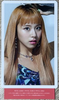 JP正規一 專輯卡 