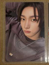 沒看過貓嗎！喵！-19.99專卡-成淏