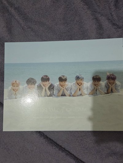 DREAM A DREAM 寫真