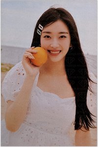芝加哥 明信片 