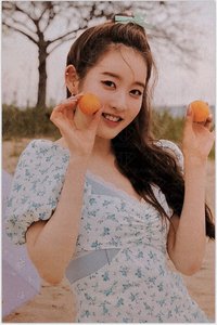 芝加哥 明信片 