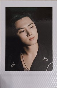 25年D社 b版 拍立得 雜誌卡 